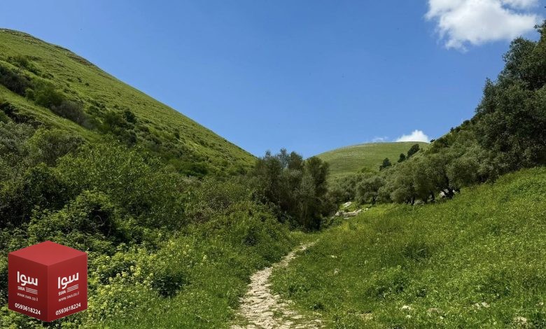 حالة الطقس: ارتفاع آخر في درجات الحرارة