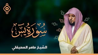 سورة يس - الشيخ ماهر المعيقلي