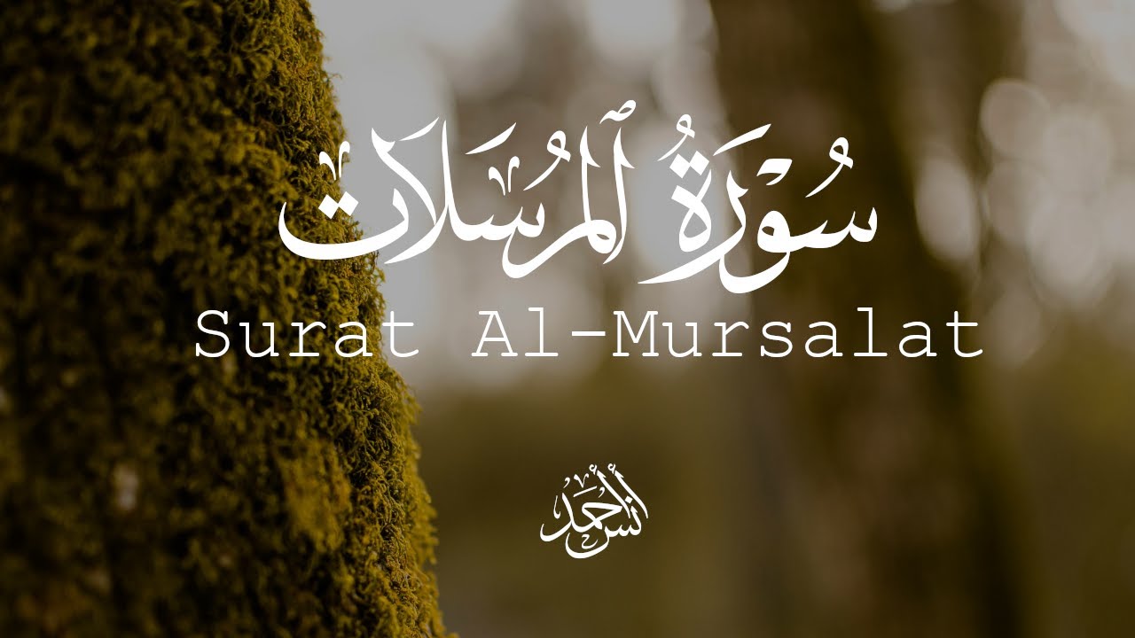 سورة المرسلات | القارئ أنس أحمد