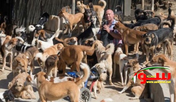 بريطاني يتخلى عن عمله ويسافر إلى طنجة للعيش رفقة 150 كلباً في غرفة.. | موقع سوا بريطاني يتخلى عن عمله ويسافر إلى طنجة للعيش رفقة 150 كلباً في غرفة.. | موقع سوا
