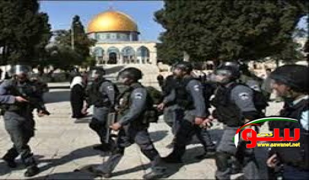 الاحتلال يعتقل أحد حراس الأقصى و5 شبان في القدس | موقع سوا الاحتلال يعتقل أحد حراس الأقصى و5 شبان في القدس | موقع سوا