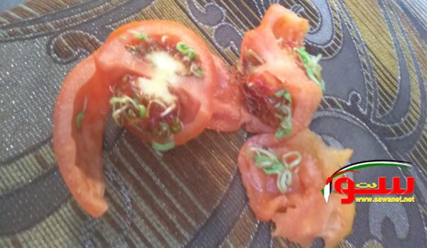 عاجل تحذير هام من البندوره في فلسطين و الداخل | موقع سوا عاجل تحذير هام من البندوره في فلسطين و الداخل | موقع سوا