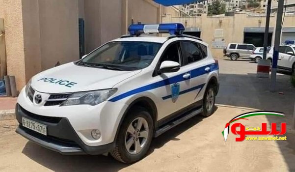 ظاهره الكلاب الضاله في شوارع نابلس و استهتار الشرطه و الدفاع المدني | موقع سوا ظاهره الكلاب الضاله في شوارع نابلس و استهتار الشرطه و الدفاع المدني | موقع سوا