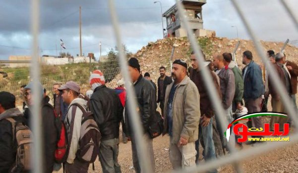 الاحتلال يعتقل 40 فلسطيني في رهط بدون تصاريح | موقع سوا الاحتلال يعتقل 40 فلسطيني في رهط بدون تصاريح | موقع سوا