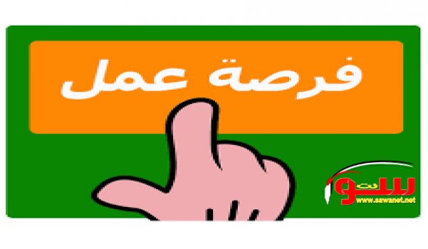 مطلوب صبايا للعمل مع رخصه سياقه للعمل في شركه رحال | موقع سوا مطلوب صبايا للعمل مع رخصه سياقه للعمل في شركه رحال | موقع سوا