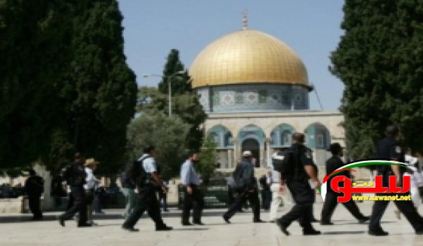 اقتحام الأقصى مجدداً والجيش يواصل منع دخول النساء | موقع سوا اقتحام الأقصى مجدداً والجيش يواصل منع دخول النساء | موقع سوا
