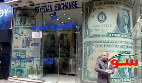 فوضى تجارة العملة بمصر تفشل سعي المركزي لتوفير الدولار | موقع سوا فوضى تجارة العملة بمصر تفشل سعي المركزي لتوفير الدولار | موقع سوا