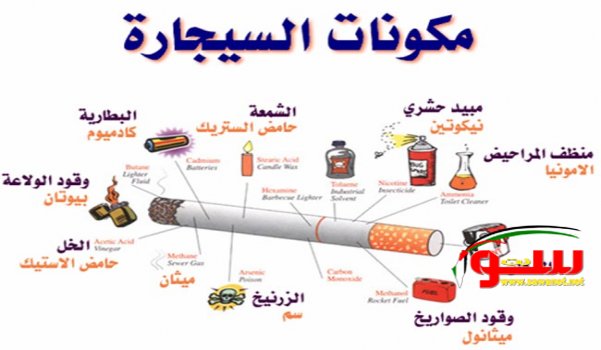 للمدخنين خلال شهر رمضان بعض النصائح | موقع سوا 