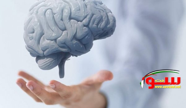 دراسة تكشف أهمية الصيام في تنظيف خلايا الدماغ | موقع سوا دراسة تكشف أهمية الصيام في تنظيف خلايا الدماغ | موقع سوا