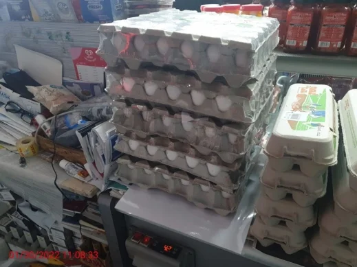 مصادرة نحو 800 بيضة من السوق البلدي في مدينة عكا | موقع سوا مصادرة نحو 800 بيضة من السوق البلدي في مدينة عكا | موقع سوا