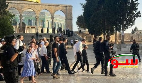 مستوطنون إرهابيون يقتحمون باحات المسجد الأقصى تحت حماية الجيش والشرطه الصهيونية | موقع سوا مستوطنون إرهابيون يقتحمون باحات المسجد الأقصى تحت حماية الجيش والشرطه الصهيونية | موقع سوا