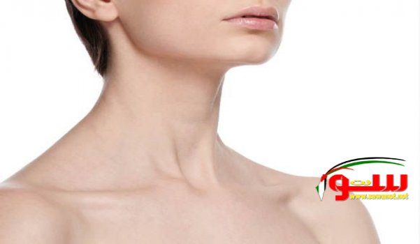 جمال رقبتك دليل على أنوثتك.. | موقع سوا جمال رقبتك دليل على أنوثتك.. | موقع سوا