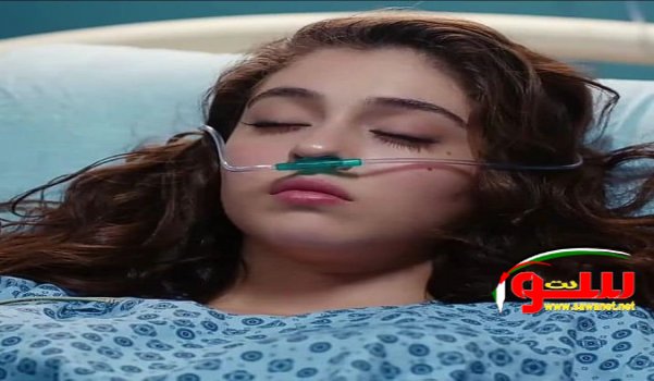قصه حقيقيه رحمه و عريسها عمرو الي ماتت يوم عرسها و هي بالصالون. الحب الحقيقي | موقع سوا قصه حقيقيه رحمه و عريسها عمرو الي ماتت يوم عرسها و هي بالصالون. الحب الحقيقي | موقع سوا
