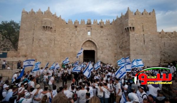 دعوات لاقتحام المسجد الأقصى غداً الأحد | موقع سوا دعوات لاقتحام المسجد الأقصى غداً الأحد | موقع سوا