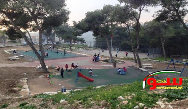 تطوير منتزه الجبل في يافة الناصرة | موقع سوا تطوير منتزه الجبل في يافة الناصرة | موقع سوا