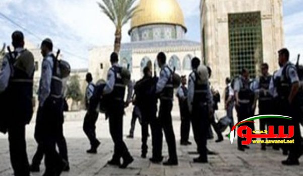 الاحتلال يباشر بتنفيذ خطة ادخال اعداد محددة من اليهود للاقصى | موقع سوا الاحتلال يباشر بتنفيذ خطة ادخال اعداد محددة من اليهود للاقصى | موقع سوا