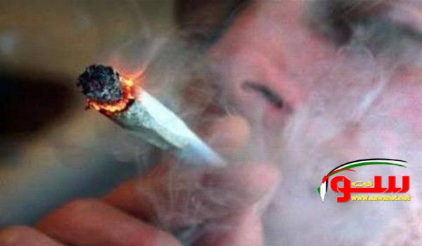 الماريغوانا مسموح بها في كندا بحلول ربيع 2017 | موقع سوا الماريغوانا مسموح بها في كندا بحلول ربيع 2017 | موقع سوا