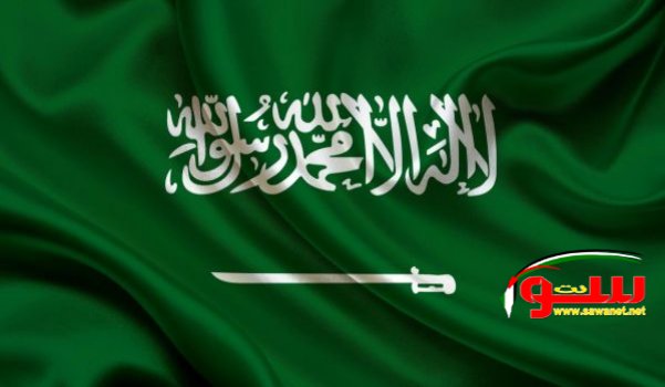 السعودية تسعى لإطلاق أكبر مجمع بحري في العالم | موقع سوا 