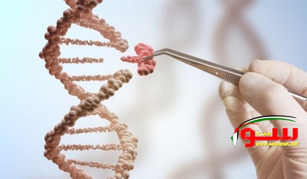 تحمي أجسادنا … ماذا نعرف عن جينات الحظ؟ | موقع سوا 