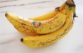  ما علاقة سواد الموز بمرض السرطان؟ | موقع سوا 