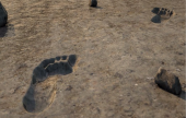  اكتشاف آثار أقدام بشرية نادرة عمرها 20 ألف عام | موقع سوا 