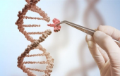 تحمي أجسادنا … ماذا نعرف عن جينات الحظ؟ | موقع سوا 