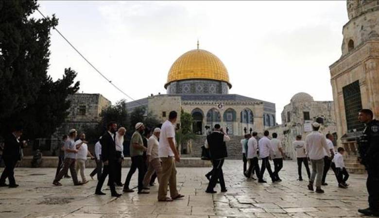 182 مستوطنًا اقتحموا المسجد الأقصى بحماية الاحتلال | موقع سوا 