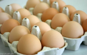 6 مفاهيم خاطئة يجب أن تعرفها..حفظ البيض في الثلاجة..  | موقع سوا 