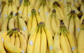 من علاج فقر الدم إلى محاربة الاكتئاب..7 أسباب لتناول الموز يومياً | موقع سوا 