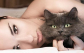 دراسة: وجود علاقة غامضة بين عزوبية النساء وامتلاك القطط! | موقع سوا 