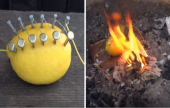 فيديو كيف تشغل النار من الليمون  ! | موقع سوا 