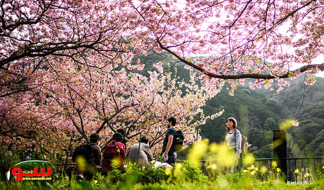 اليوم أجواء معتدلة إلى دافئة وصافية جزئيا