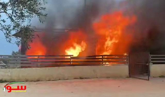 هجمات وحرق ممتلكات فلسطينيين في منطقتي رام الله ونابلس