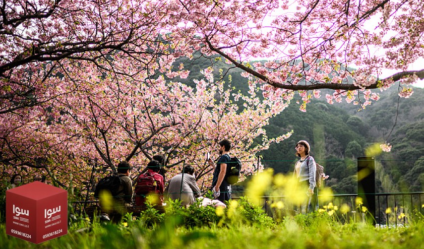 اليوم أجواء معتدلة نهارا وباردة ليلا