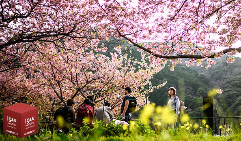 المنخفض الجوي يبدأ بالانحسار الإثنين وارتفاع طفيف الثلاثاء