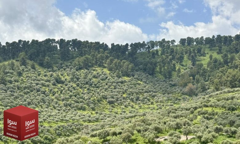 حالة الطقس: ارتفاع تدريجي على درجات الحرارة.. وأجواء حارة نهاية الأسبوع